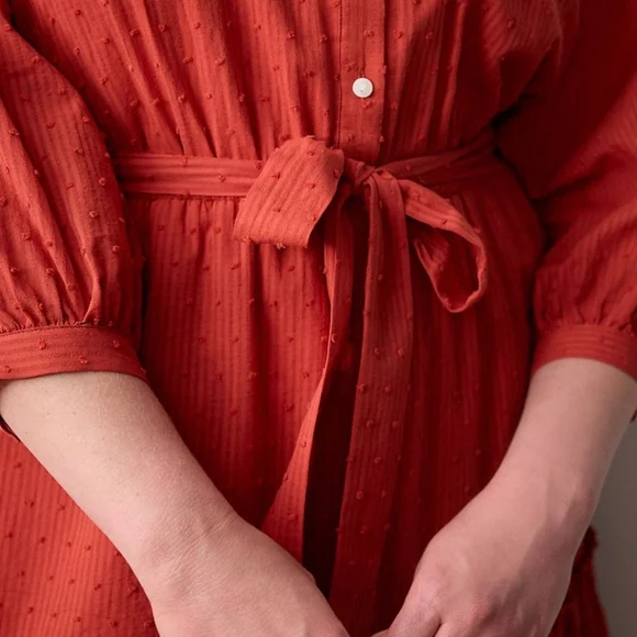 LC Lauren Conrad Rust Colored Dress | Size 4X - NWT - Picture 5 of 9